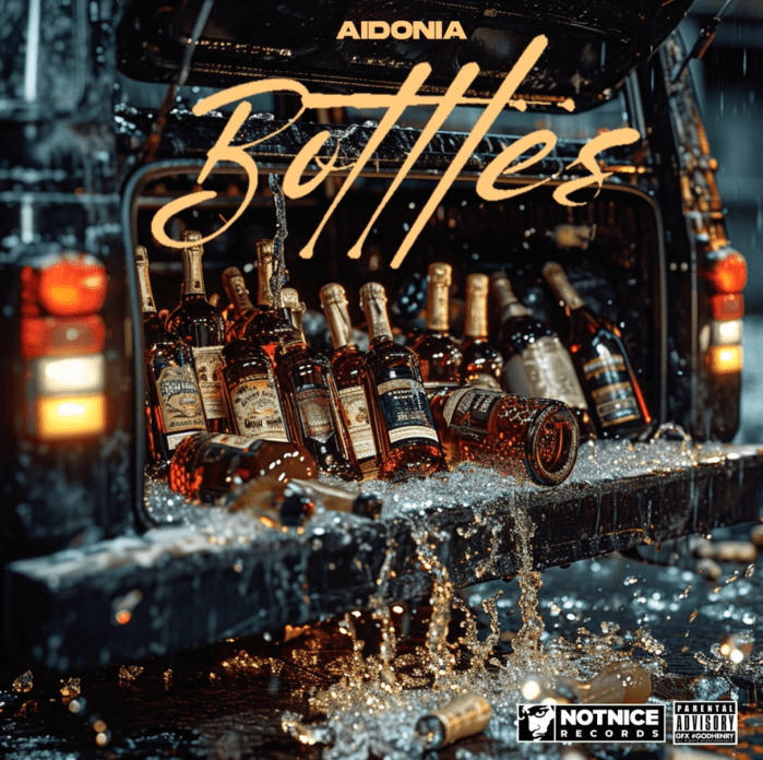 Aidonia "Bottles" on 13thStreetPromotions.com #Jamaica #Dancehall #Music #13thStreetPromotions #Aidonia #NotniceRecords #Notnice #Bottles #StreetVybzRiddim #Caribbean