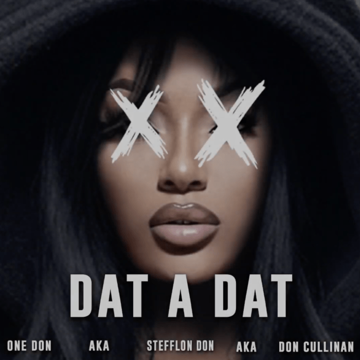 Stefflon Don "Dat A Dat" on 13thStreetPromotions.com #Jamaica #UK #Dancehall #Music #13thStreetPromotions #StefflonDon #DatADat #Rvssian #HeadConcussionRecords #DuttyMoneyRiddim #JadaKingdom #BurnaBoy #JadaKingdomDiss #Caribbean