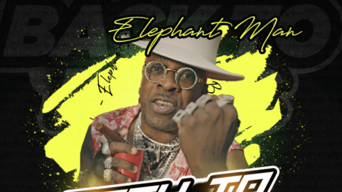 Elephant Man "Back To Basic" EP on 13thStreetPromotions.com #Jamaica #Dancehall #Music #13thStreetPromotions #ElephantMan #EnergyGod #BadGyal #CoolieDanceRiddim #Queen #AnotherOneBitesTheDust #BackToBasicEP #BackToBasic #ElephantManTheEnergyGod #Caribbean