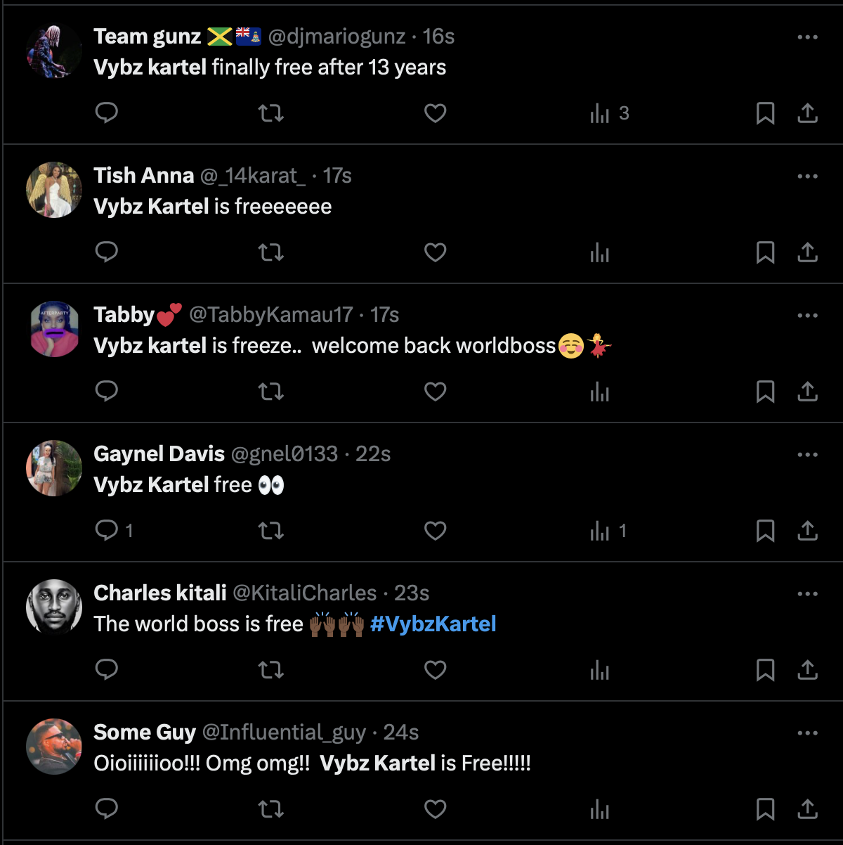 Vybz Kartel IS FREE on 13thStreetPromotions.com #Jamaica #Dancehall #Music #13thStreetPromotions #VybzKartel #AdidjaPalmer #ShawnStorm #WorldBoss #Caribbean #Gaza #VybzKartelFree