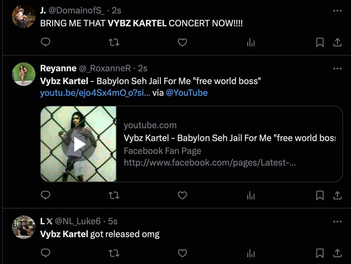 Vybz Kartel IS FREE on 13thStreetPromotions.com #Jamaica #Dancehall #Music #13thStreetPromotions #VybzKartel #AdidjaPalmer #ShawnStorm #WorldBoss #Caribbean #Gaza #VybzKartelFree