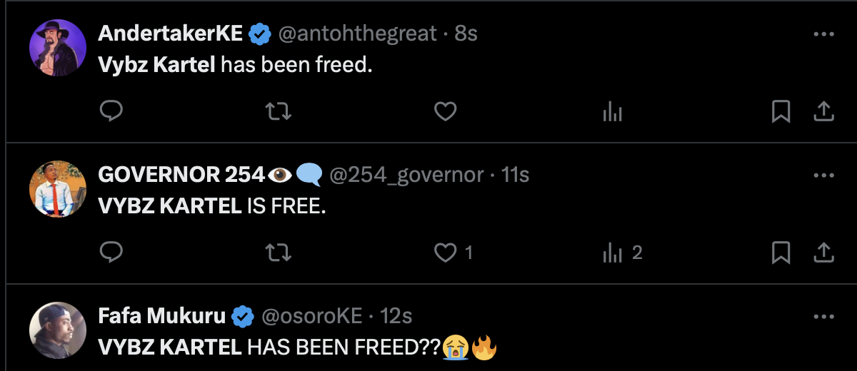 Vybz Kartel IS FREE on 13thStreetPromotions.com #Jamaica #Dancehall #Music #13thStreetPromotions #VybzKartel #AdidjaPalmer #ShawnStorm #WorldBoss #Caribbean #Gaza #VybzKartelFree