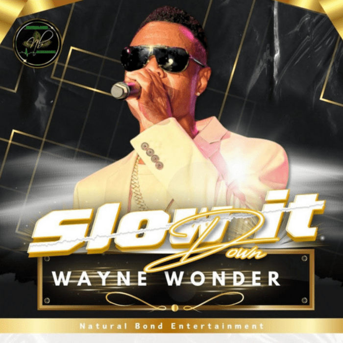Wayne Wonder x Natural Bond Ent. "Slow It Down" on 13thStreetPromotions.com #Jamaica #Dancehall #Music #13thStreetPromotions #WayneWonder #NaturalBondEnt #SlowItDown #Caribbean