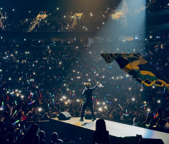 Elephant Man Performs in New York on 13thStreetPromotions.com #Jamaica #NewYork #Brooklyn #Dancehall #BarclaysCenter #13thStreetPromotions #ElephantMan #Concert #ReggaeFest #Music #Caribbean
