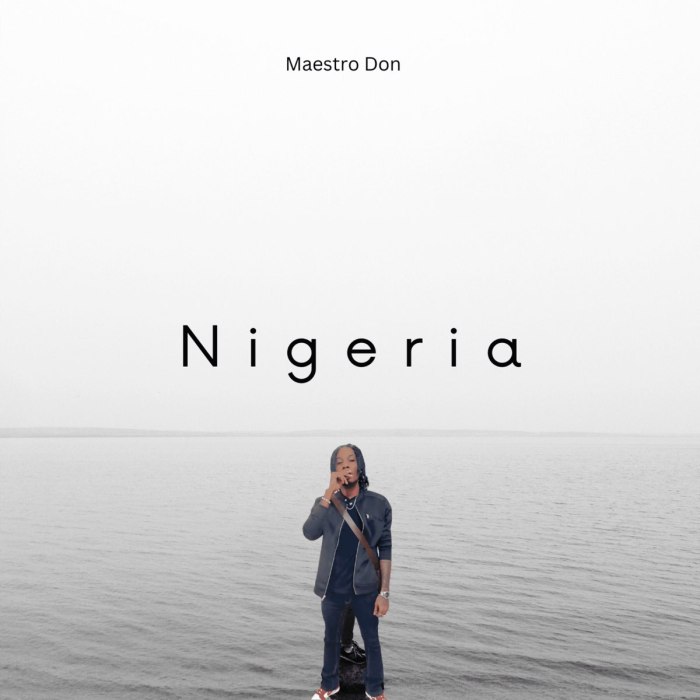 Maestro Don "Nigeria" on 13thStreetPromotions.com #Jamaica #Dancehall #Music #13thStreetPromotions #MaestroDon #Nigeria #MaestroDonMusic #JVOEnt #AfroBeats #Caribbean