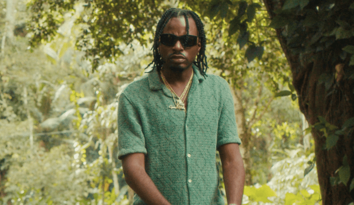 Govana "My Will" on 13thStreetPromotions.com #Jamaica #Dancehall #Music #13thStreetPromotions #Govana #Legacy #MyWill #Visualizer #CrashDummyProductions #Djuvii #Video #Caribbean