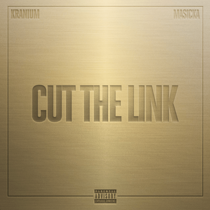 Kranium x Masicka "Cut The Link" on 13thStreetPromotions.com #Jamaica #Dancehall #Music #13thStreetPromotions #Kranium #Masicka #CutTheLink #Visualizer #DivineGlobal #TJRecords #Caribbean