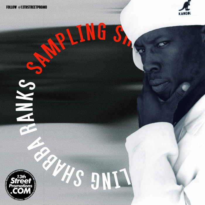 "Sampling Shabba Ranks" Playlist on 13thStreetPromotions.com #Jamaica #Dancehall #HipHop #PopMusic #ElectronicMusic #Jungle #13thStreetPromotions #ShabbaRanks #January17 #RextonGordon #SamplingShabbaRanks #Playlist #Sample #Caribbean #Spotify