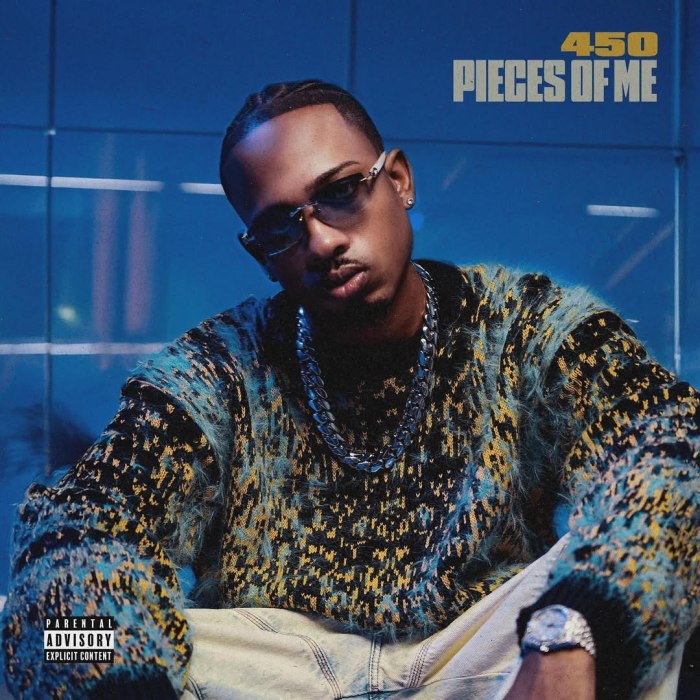 450 "Pieces Of Me" Album on 13thStreetPromotions.com #Jamaica #Dancehall #Music #13thStreetPromotions #450 #450Music #Album #PiecesOfMe #TruAmbassador #JahvyAmbassador #Caribbean