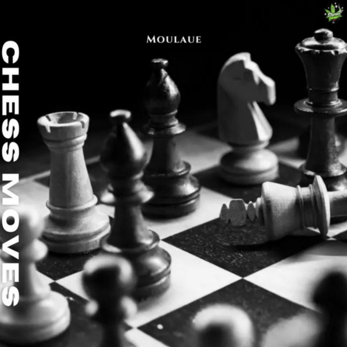 MoulaUE "Chess Moves" on 13thStreetPromotions.com #Jamaica #HipHop #Rap #Music #13thStreetPromotions #MoulaUE #MoulaDiDon #ChessMove #StonerLonerBeats #MontegoBay #Caribbean #Mobay