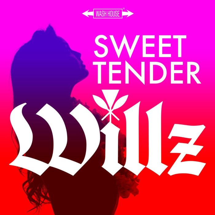 Willz "Sweet Tender" on 13thStreetPromotions.com #Hawaii #Reggae #Music #13thStreetPromotions #Willz #SweetTender #TenderLove #Love #WashHouseMusicGroup