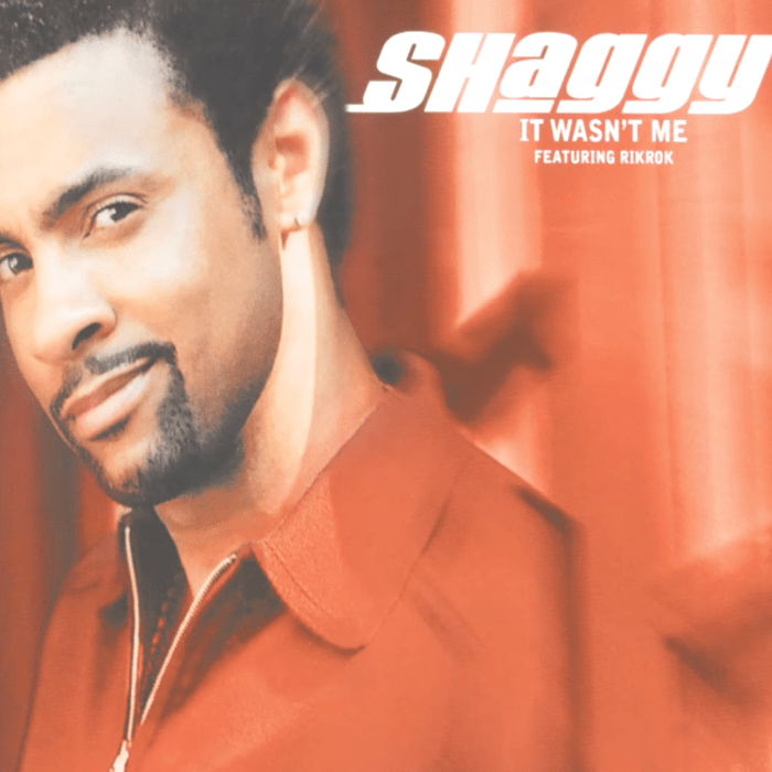 Shaggy "It Wasn't Me" on 13thStreetPromotions.com #Jamaica #Pop #Dancehall #Music #13thStreetPromotions #Shaggy #RikRok #ItWasntMe #AceMitchh #TikTok #HoodTrapRMX #SocialMedia #Remix #Caribbean