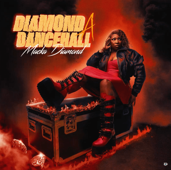 Macka Diamond "Diamond A Dancehall" Mixtape on 13thStreetPromotions.com #Jamaica #Dancehall #Music #13thStreetPromotions #MackaDiamond #DiamondADancehall #Mixtape #Caribbean