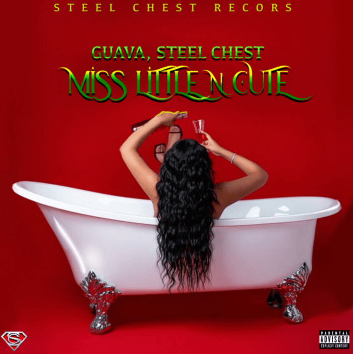 Prince Guava "Miss Little N Cute" on 13thStreetPromotions.com #Jamaica #Comedian #Dancehall #Music #13thStreetPromotions #Guava #PrinceGuava #MissLittleNCute #Caribbean #SteelChest #OuttaSpaceRecords #AdmiralBailey #GimmePunanny #Punanny