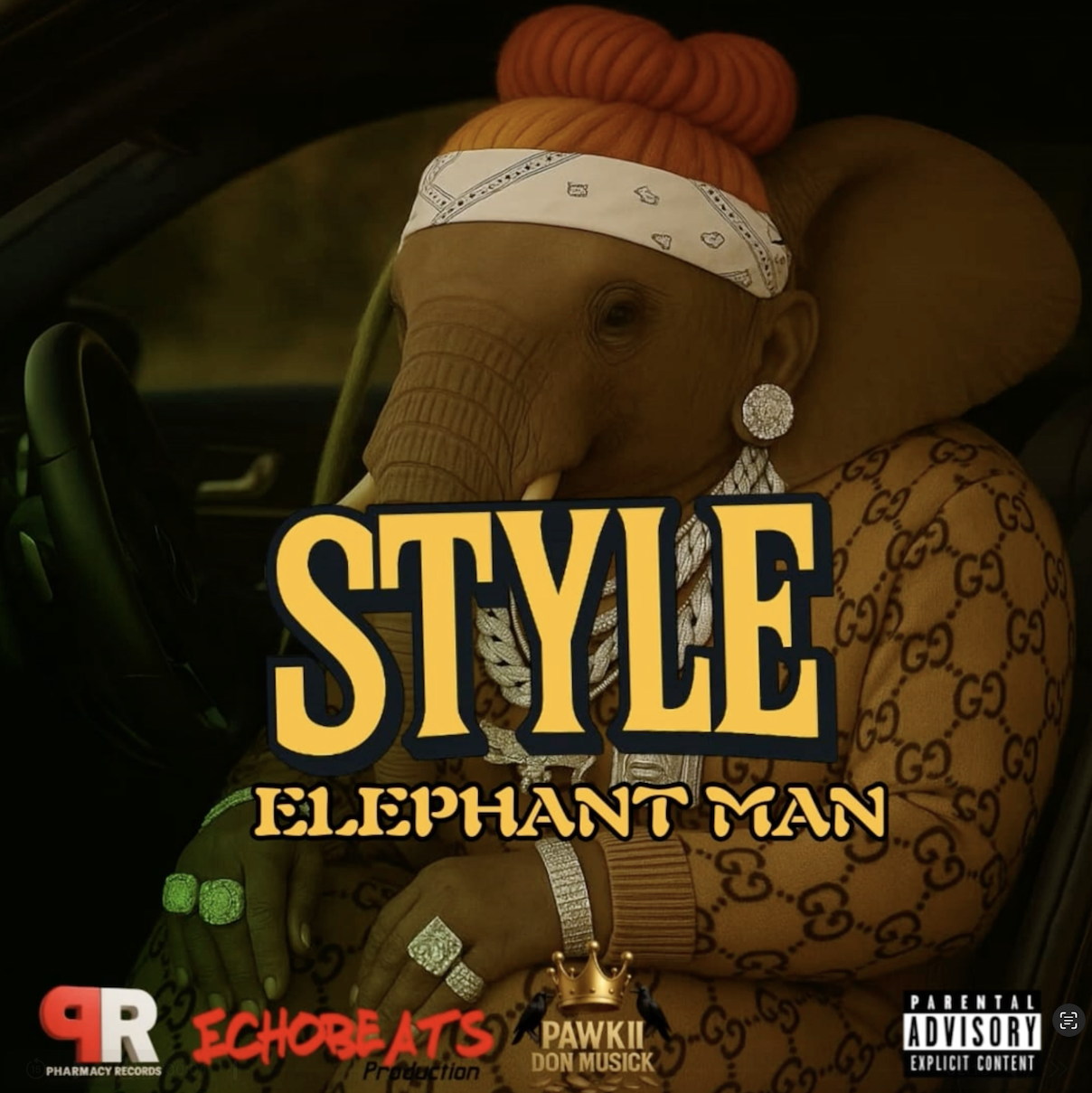 Elephant Man "Style" on 13thStreetPromotions.com #Jamaica #Dancehall #Music #13thStreetPromotions #ElephantMan #Style #PharmacyRecords #EchoBeats #PawkiiDonMusick #Caribbean