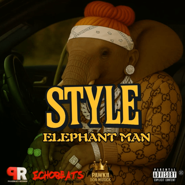Elephant Man "Style" on 13thStreetPromotions.com #Jamaica #Dancehall #Music #13thStreetPromotions #ElephantMan #Style #PharmacyRecords #EchoBeats #PawkiiDonMusick #Caribbean