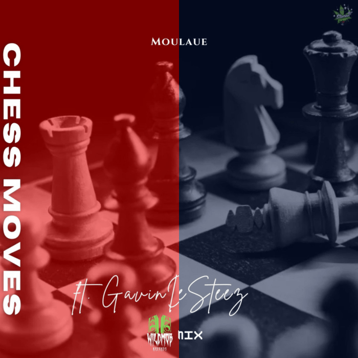 MoulaUE "Chess Moves" Remixes on 13thStreetPromotions.com #Jamaica #HipHop #Rap #Music #13thStreetPromotions #MoulaUE #MoulaDiDon #ChessMove #StonerLonerBeats #FiveSteez #GavinDiDifferent #WildMobRecords #MontegoBay #Caribbean #Mobay