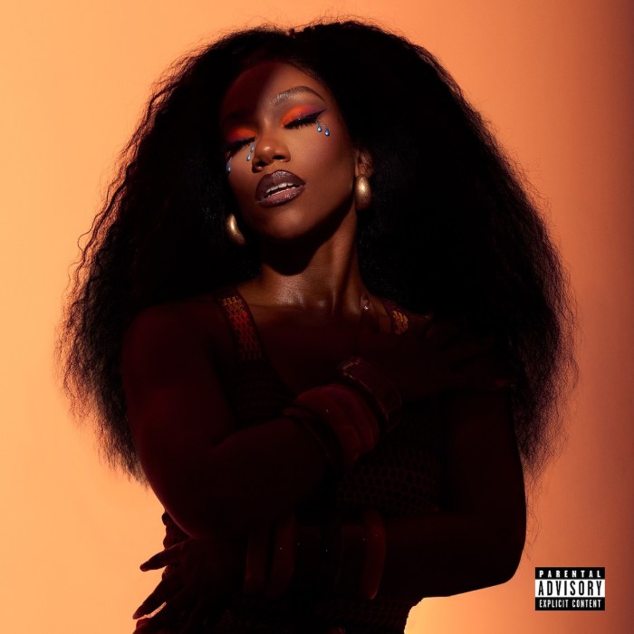 Monea "Mood Swings" on 13thStreetPromotions.com #BritishVirginIsland #Atlanta #BVI #PopMusic #HipHop #Afrobeats #Music #13thStreetPromotions #Monea #OfficialMonea #MoodSwings #Album #Caribbean