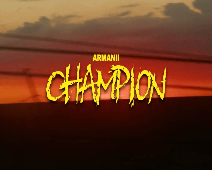 Armanii "Champion." on 13thStreetPromotions.com #Jamaica #Dancehall #Music #13thStreetPromotions #Armanii #ArmaniiSYG #Champion #ProdByCarpp #Glvde #Visualizer #HurricaneMelissa #Hurricane #Westmoreland #SaintElizabeth #Caribbean