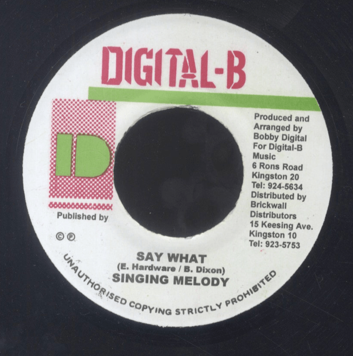 Singing Melody "Say What" on 13thStreetPromotions.com #Jamaica #Reggae #Music #13thStreetPromotions #SingingMelody #SayWhat #2000 #DigitalB #BobbyDigital #DigitalBRecords #Oldies #OldiesSunday #OldSchool #Throwback #Caribbean