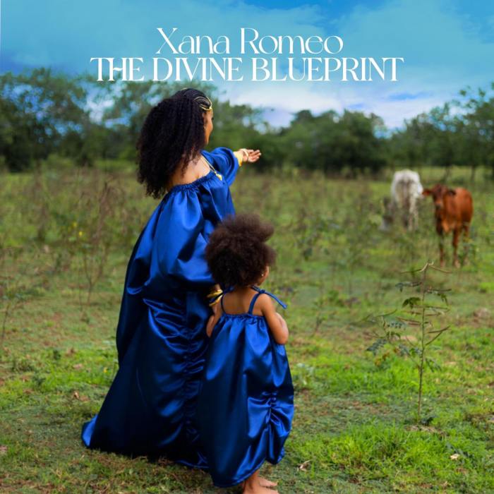 Xana Romeo "The Divine Blueprint" on 13thStreetPromotions.com #Jamaica #Reggae #Dub #Music #13thStreetPromotions #XanaRomeo #TheDivineBlueprint #TheDivineDub #Album #DoubleAlbum #Riddim #DubReggae #MaxRomeo #Caribbean