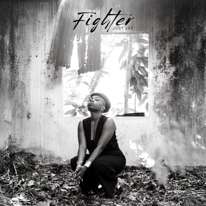 Joby Jay "Fighter" on 13thStreetPromotions.com #Jamaica #Reggae #Music #13thStreetPromotions #JobyJay #Fighter #MarkAnthonyReid #MARMusic #BobMarley #Caribbean