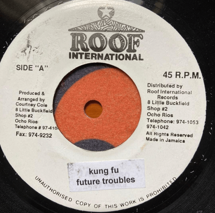 Future Troubles a.k.a. Future Fambo "Kung Fu" on 13thStreetPromotions.com #Jamaica #Dancehall #Music #13thStreetPromotions #FutureFambo #FutureTroubles #KungFu #CourtneyCole RoofInternational #1994 #Rididm #Throwback #OldiesSunday #oldSchool #Oldies #Caribbean