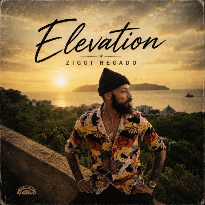 Ziggi Recado "Elevation" on 13thStreetPromotions.com #SintEustatius #Reggae #Music #ZiggiRecado #ElevationEP #Elevation #EP #Riddim #OnenessRecords #Caribbean