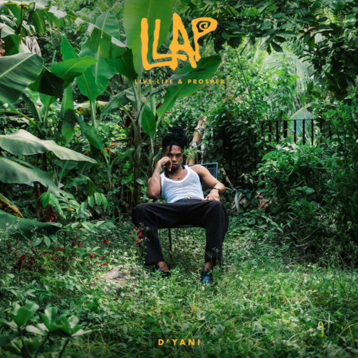 D'yani "Live Life & Prosper" on 13thStreetPromotions.com #Jamaica #Dancehall #Reggae #Music #13thStreetPromotions #Dyani #LLAP #LiveLifeandProsper #Album #Riddim #XTMNation #LizzyRecords #Caribbean #TrulyDyani