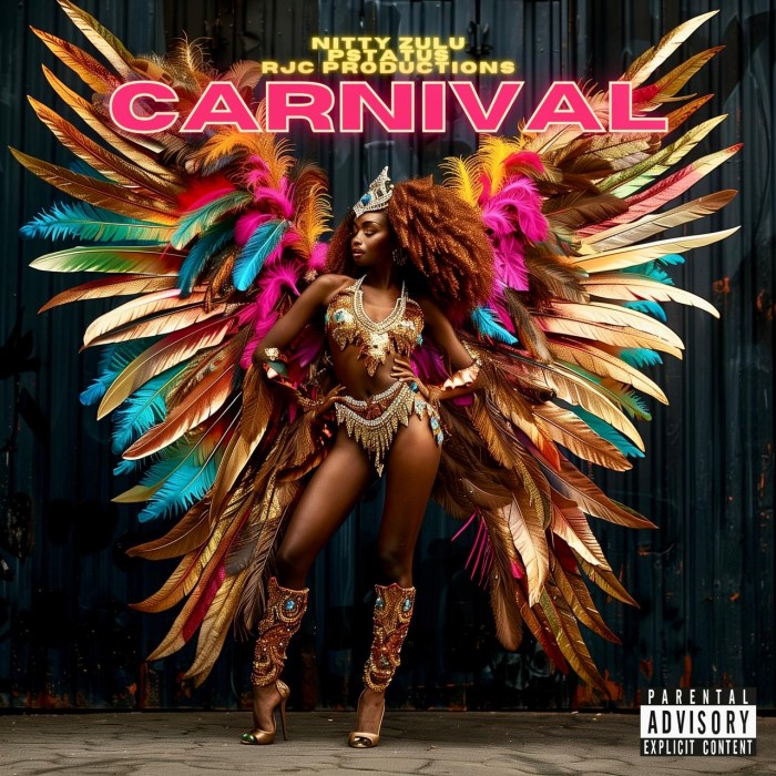 Nitty Zulu "Carnival" on 13thStreetPromotions.com #Jamaica #Dancehall #Music #13thStreetPromotions #NittyZulu #Carnival #AkanTribeRecords #PStatusBeats #RJCProducer #Riddim #Caribbean