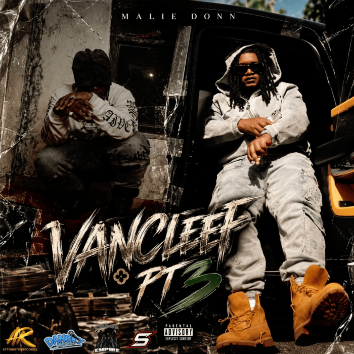 Malie Donn "Van Cleef Pt. 3" on 13thStreetPromotions.com #Jamaica #Dancehall #Music #13thStreetPromotionns #MalieDonn #VanCleef #VanCleefPt3 #AttomaticRecords #DaSkyRecords #Riddim #Caribbean